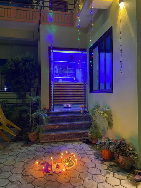 Night, Garden, Garden view