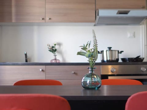 Kitchen or kitchenette, Dining area, oven, stove