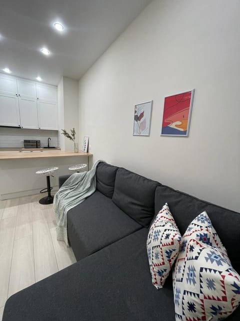 Kitchen or kitchenette, Living room, Seating area