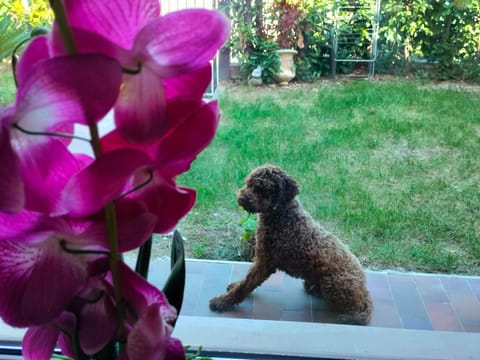 Lillo House Apartment in Isernia