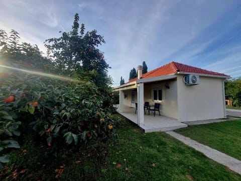 Apartment Matija Airport Apartment in Podgorica