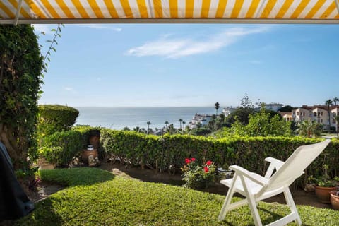 Patio, Garden, Garden view