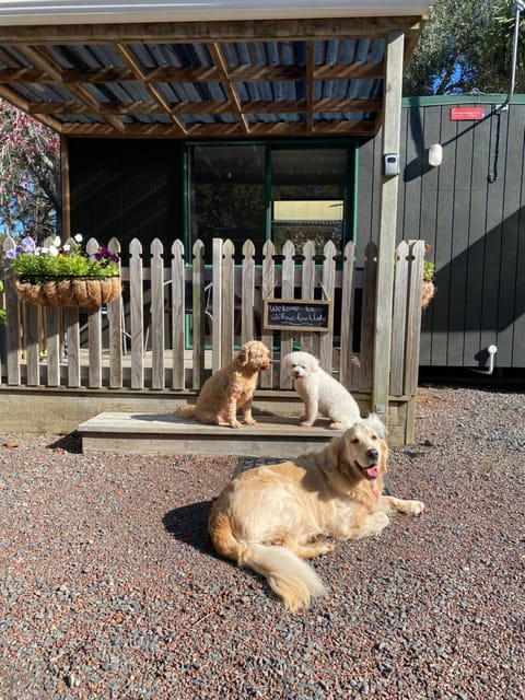 Willows Reach Lodge Nature lodge in Auckland