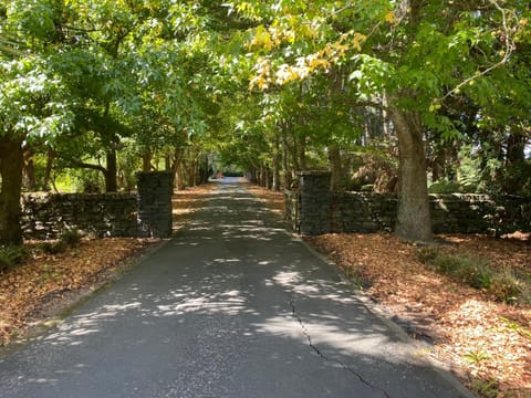Willows Reach Lodge Nature lodge in Auckland