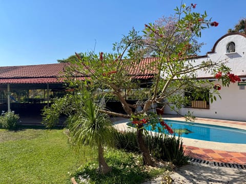 Property building, Balcony/Terrace, Area and facilities, Swimming pool