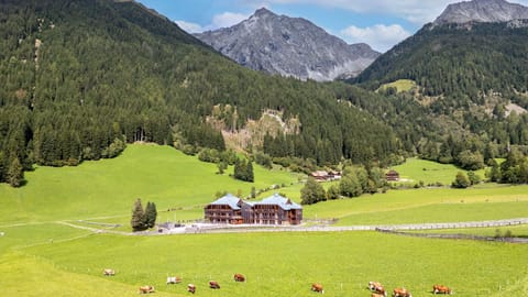 Property view