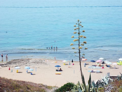 Snorkeling, Beach, Sea view