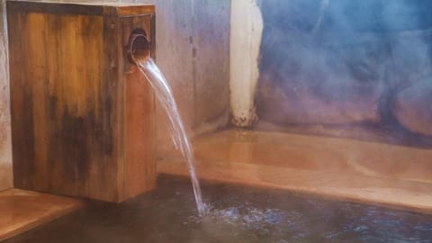 Shower, Hot Spring Bath, Bathroom, Spa and wellness centre/facilities