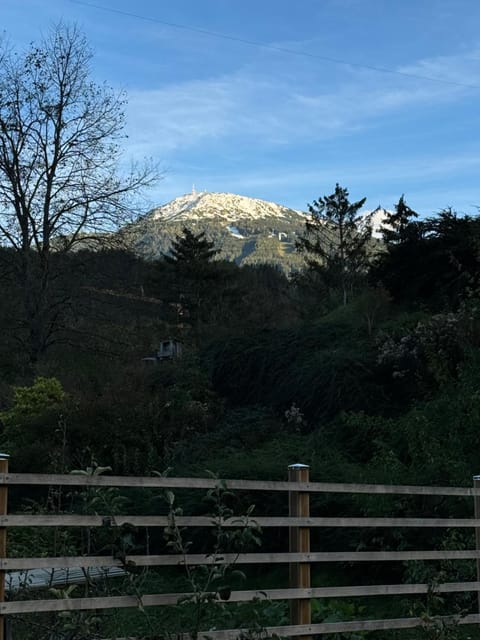 Autumn, Mountain view