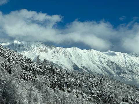 Natural landscape, Winter