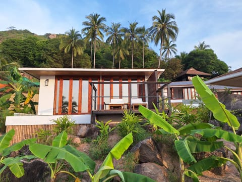 Property building, Day