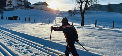 Day, People, Natural landscape, Winter, Skiing, group of guests