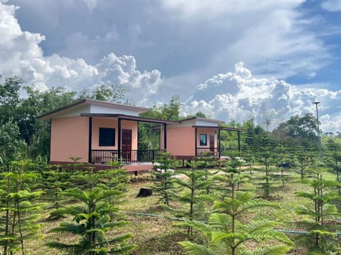 Property building, Spring, Day, Natural landscape, Garden, Garden view