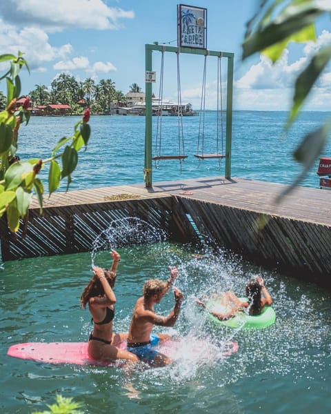 People, Natural landscape, Activities, group of guests