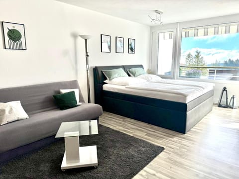 Bed, Living room, Photo of the whole room, Seating area, Bedroom
