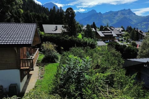 Peace & comfort - Great views and location Chalet in Ollon