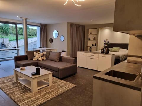 Living room, Photo of the whole room, Seating area