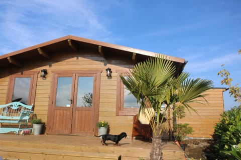 Property building, Spring, Garden, Garden view