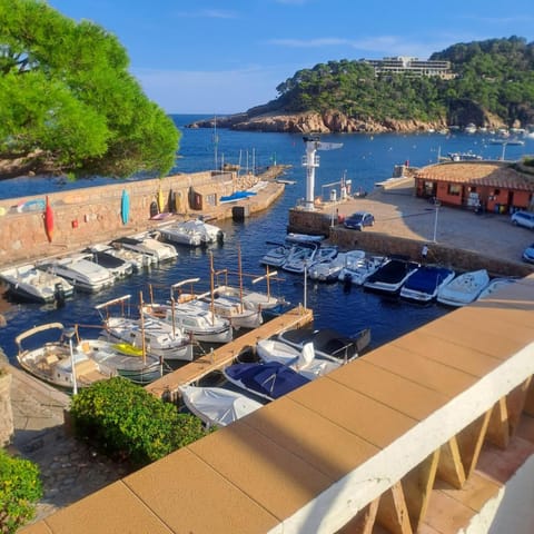 Natural landscape, Activities, Balcony/Terrace, Balcony/Terrace, Sea view