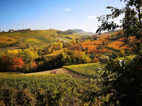 Natural landscape, Mountain view