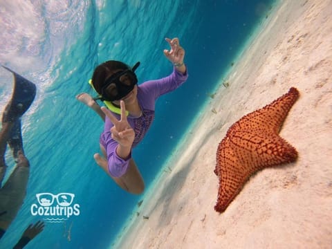 Snorkeling