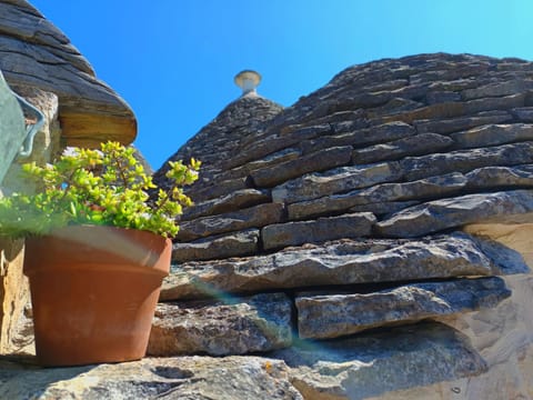 Property building, Day, Garden