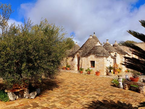Property building, Spring, Day, Garden, Garden view