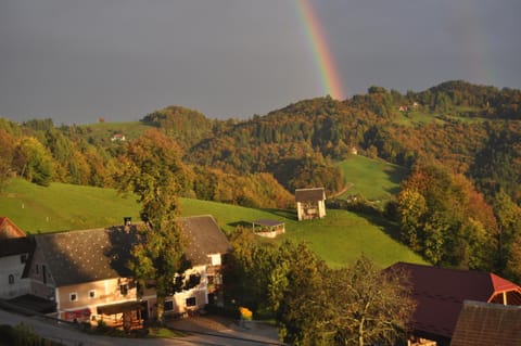 Day, Natural landscape, View (from property/room), Autumn, On site