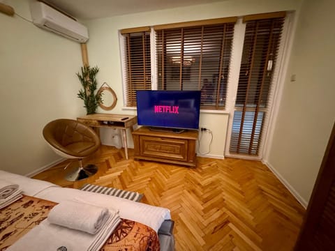 Bamboo tree Apartment Apartment in Dolj County, Romania