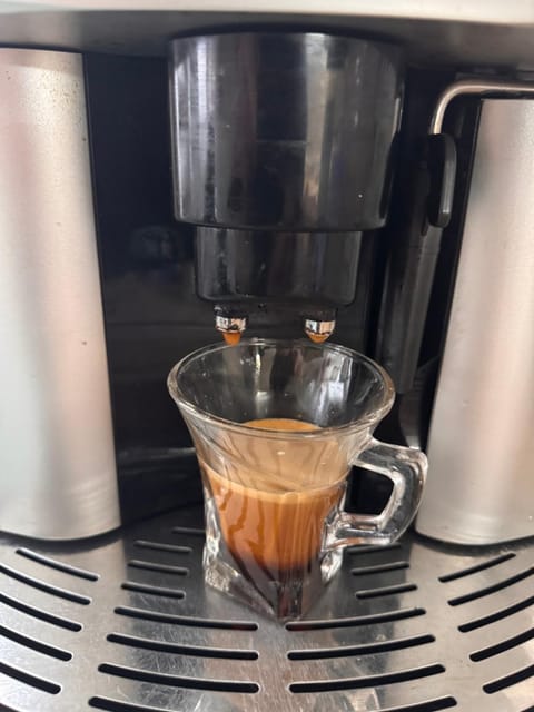 Bamboo tree Apartment Apartment in Dolj County, Romania