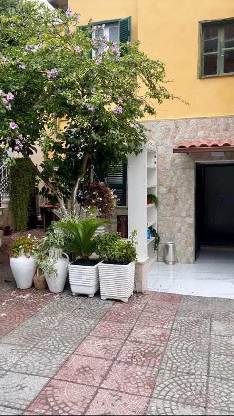 B&B Rainforest Vacation rental in Rome