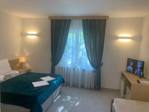 Garni hotel Vir Bed and Breakfast in Serbia