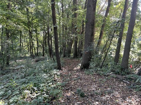 Timbers Cabin and acreage Cabin in Iowa