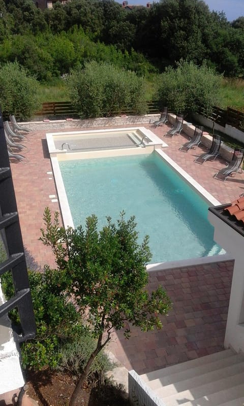 Swimming pool, Swimming pool