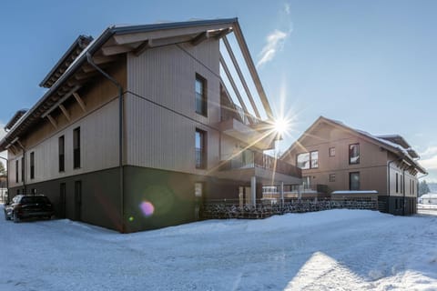 Alpine Suite Spot Apartment in Salzburgerland