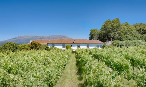 Property building, Garden view