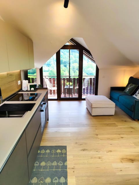 Kitchen or kitchenette, Living room