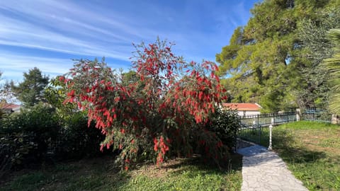 Blue Sky Villa Villa in Montenegro