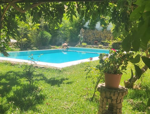 Garden, Garden view, Pool view, Swimming pool, Swimming pool