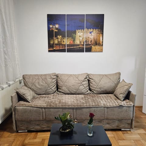 ONLY 4 YOU apartment Apartment in Serbia