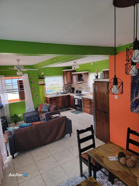 Kitchen or kitchenette, Living room, Seating area, Dining area, oven