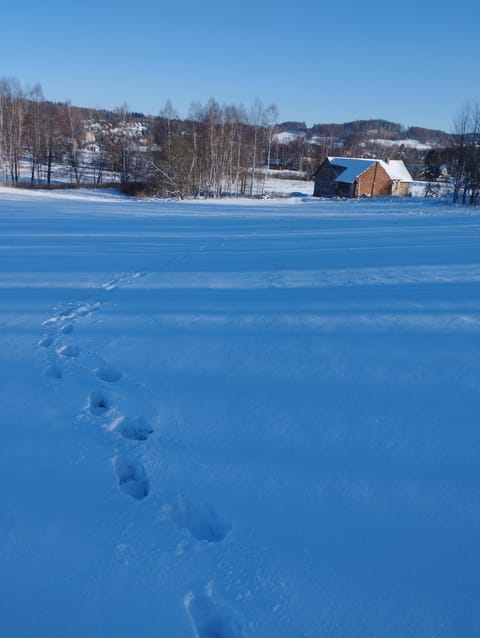 Property building, Day, Natural landscape, Winter