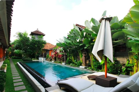 Day, Garden, Garden view, Pool view, Swimming pool, sunbed