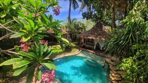 Property building, Day, Garden, Other, Floor plan, On site, Swimming pool, Swimming pool