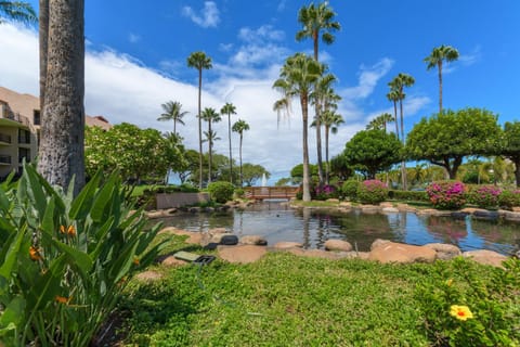 Rear Ocean View 2 Bedroom Single Level Condo at Kamaole Sands 9-305 Apartment in Wailea