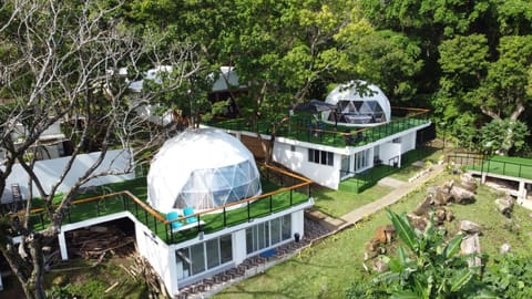 Property building, Day, Garden view
