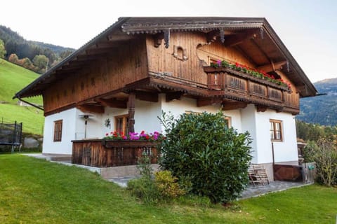 Property building, Summer