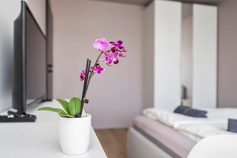 GoldenHugo Apartment Apartment in Vilnius