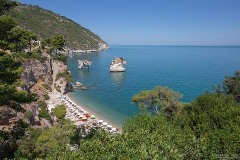 Natural landscape
