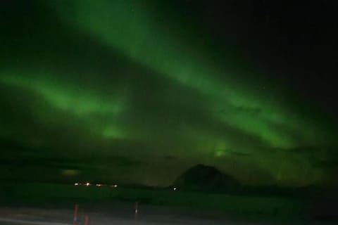 Isabella`s room - Lofoten Apartment in Lofoten